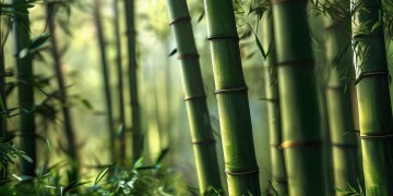 熊猫手游买彩票是否犯法？